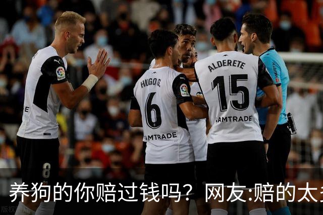 养狗的你赔过钱吗？网友:赔的太多了，它的身价蹭蹭往上涨