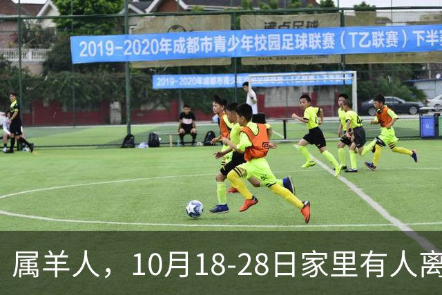 属羊人，10月18-28日家里有人离开，别哭！是老天帮你清除负担