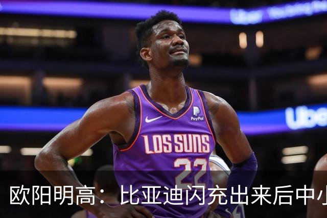 欧阳明高：比亚迪闪充出来后中小厂家、电池厂很焦虑 因为闪充投资太大