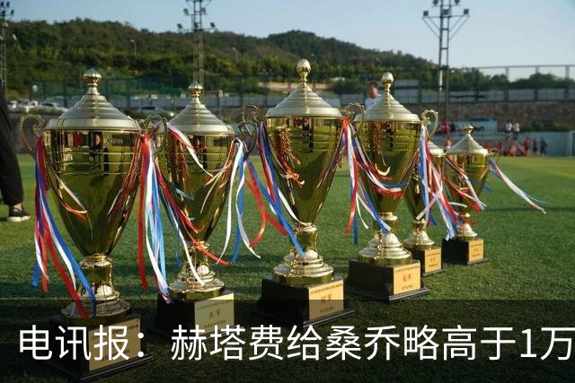 电讯报：赫塔费给桑乔略高于1万镑的周薪，他此前在曼联25万周薪