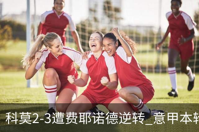 科莫2-3遭费耶诺德逆转 意甲本轮欧冠前3场全败 桑切斯自摆乌龙